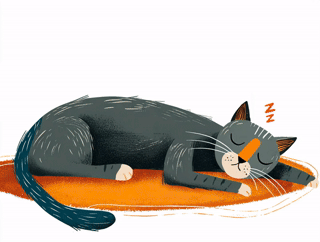 Schlafende Katze